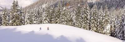 Skitouren gehen in der Fuschelseeregion