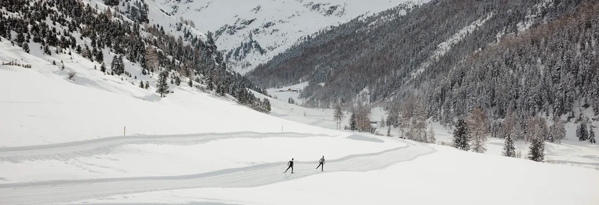 Two skiers on a trail in a snowy valley with snow-covered mountains