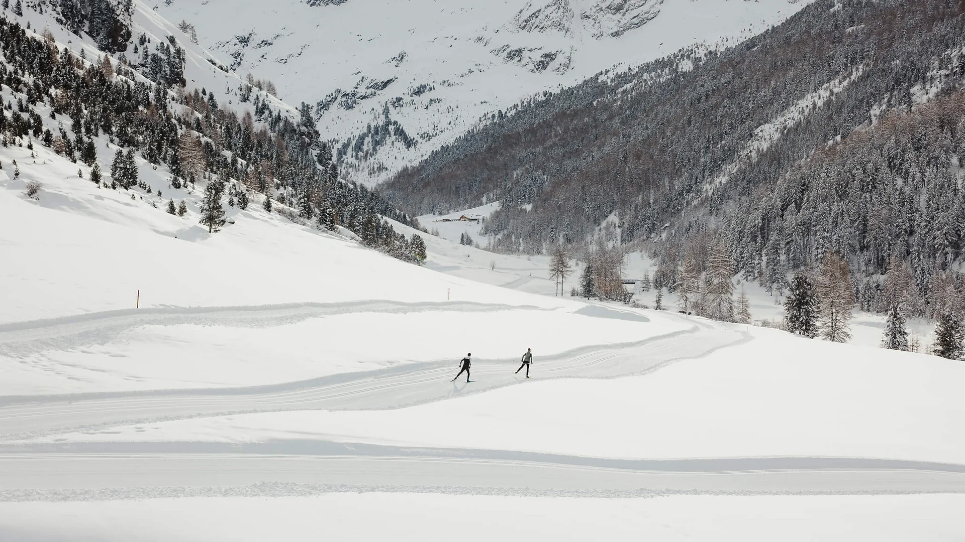 Loipen & Loipenericht © Alex Moling Zwei Skifahrer auf einer Spur in schneebedecktem Tal vor verschneiten Bergen