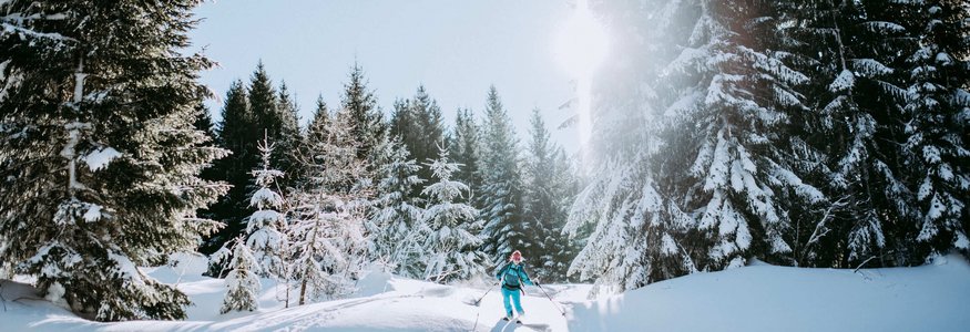 Skifahrer in blau im schneebedeckten Wald an sonnigem Wintertag