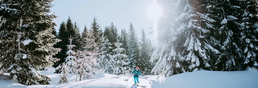 Skifahrer in blau im schneebedeckten Wald an sonnigem Wintertag