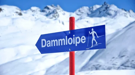 Blauer Wegweiser Dammliope für Langlauf vor schneebedeckten Bergen