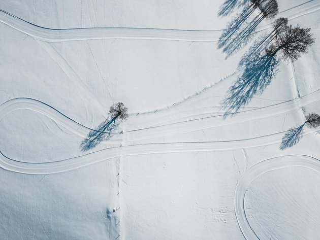 Luftaufnahme von verschneiten Feldern mit vereinzelten Bäumen und Spuren von Fahrzeugen