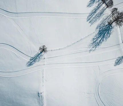 Luftaufnahme von verschneiten Feldern mit vereinzelten Bäumen und Spuren von Fahrzeugen