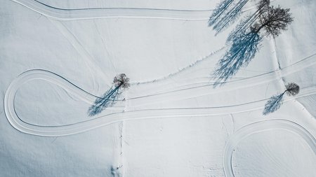 Luftaufnahme von verschneiten Feldern mit vereinzelten Bäumen und Spuren von Fahrzeugen