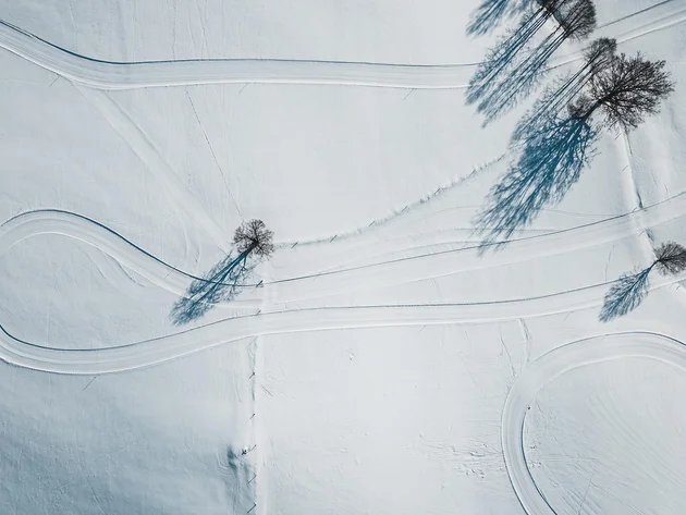 Aerial view of snowy fields with scattered trees and vehicle tracks