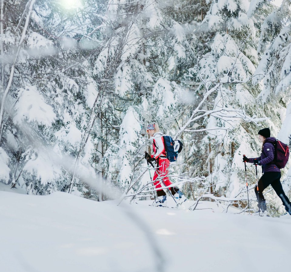 Zwei Menschen beim Skilanglauf in einem verschneiten Wald
