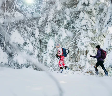 Zwei Menschen beim Skilanglauf in einem verschneiten Wald