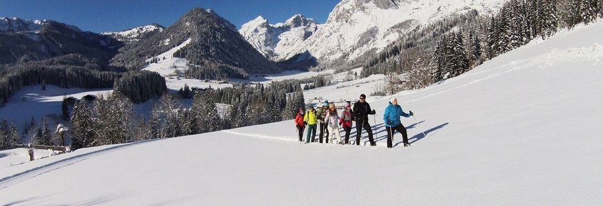 Gruppe geht Schneeschuhwandern in verschneiter Berglandschaft