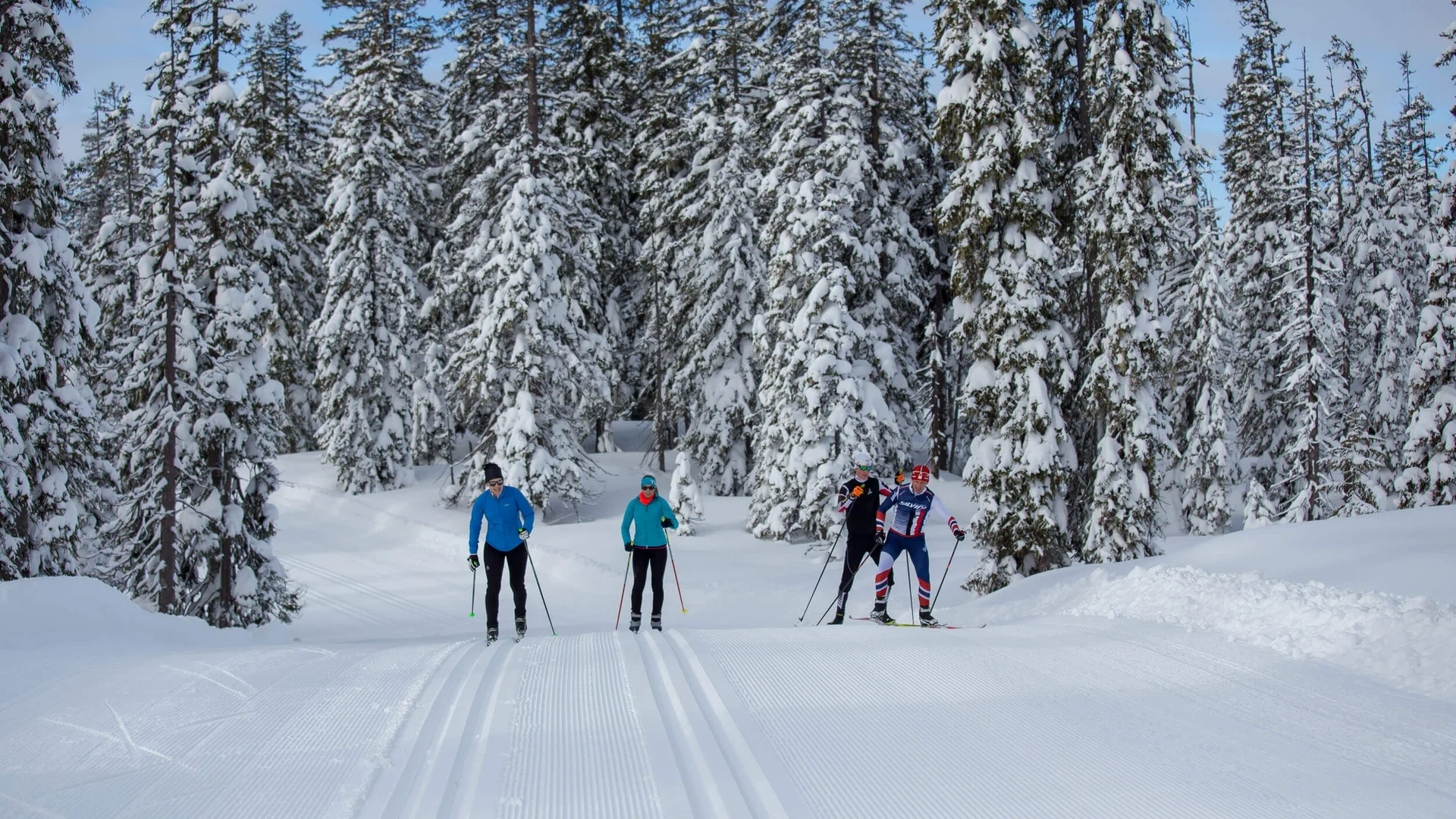 Loipen & Loipenbericht © Coen Weesjes - Filzmoos Tourismus Vier Langläufer auf verschneiter Strecke umgeben von schneebedeckten Bäumen