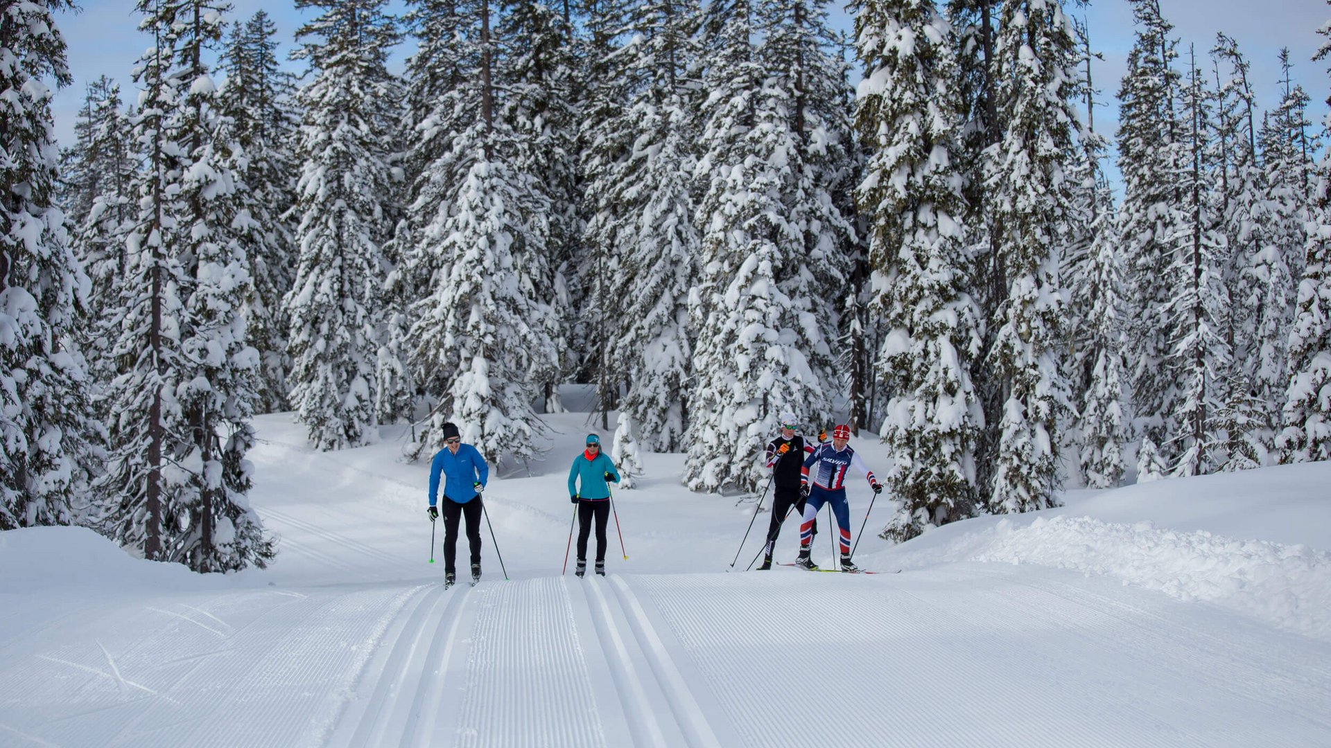 Vier Langläufer auf verschneiter Strecke umgeben von schneebedeckten Bäumen