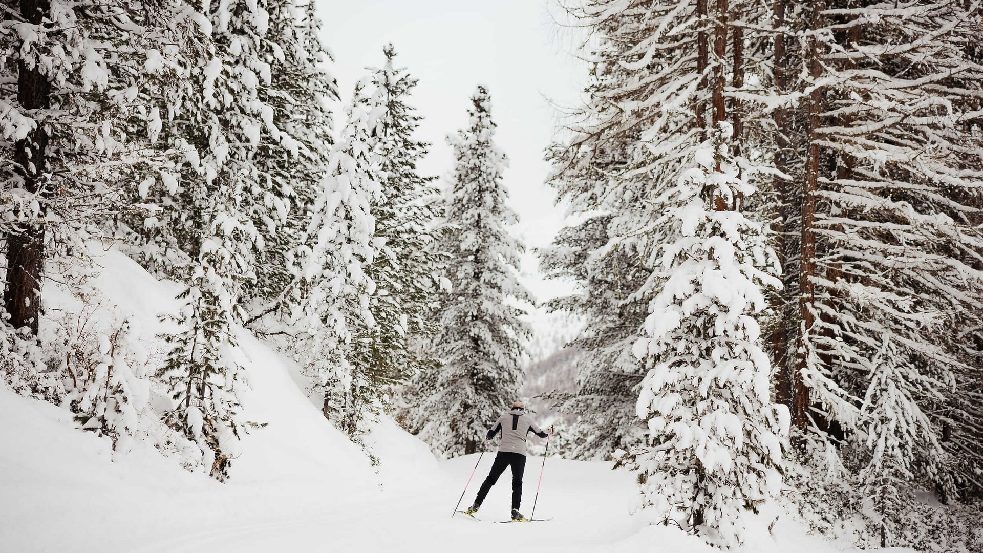 Langläufer in verschneitem Wald auf einer Winterstrecke
