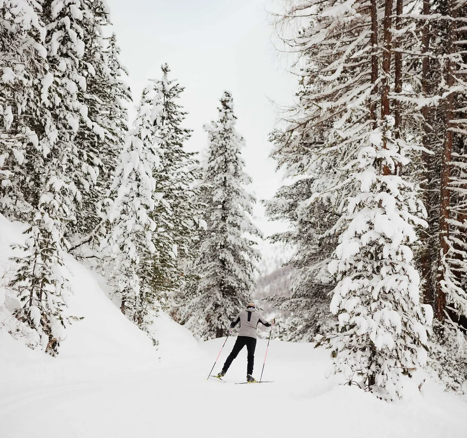 Langläufer in verschneitem Wald auf einer Winterstrecke