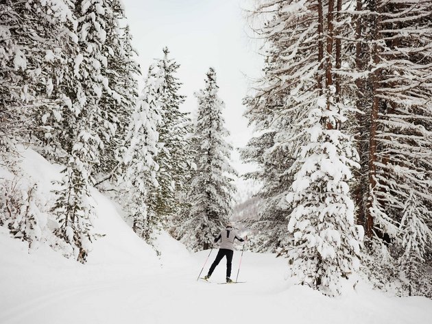 Langläufer in verschneitem Wald auf einer Winterstrecke