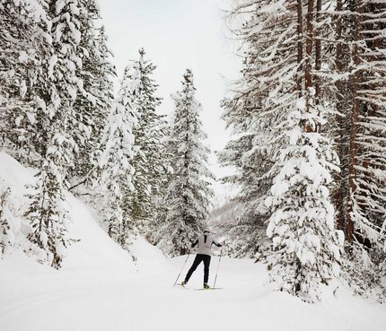 Langläufer in verschneitem Wald auf einer Winterstrecke