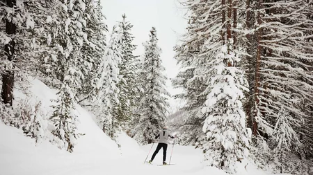 Cross-country skier in snowy forest on winter trail