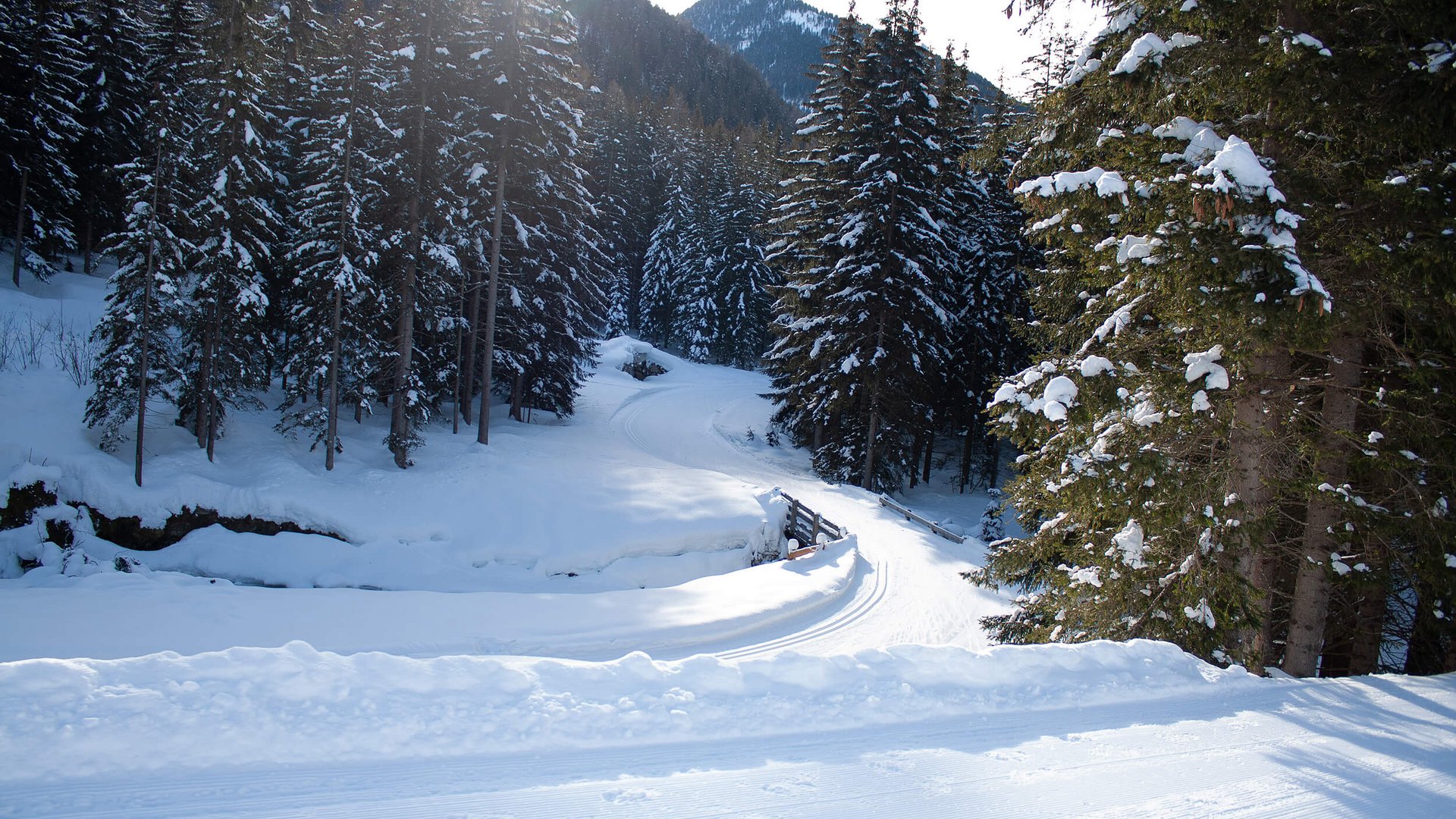 Verschneiter Waldweg mit Skispuren und Sonne im Hintergrund