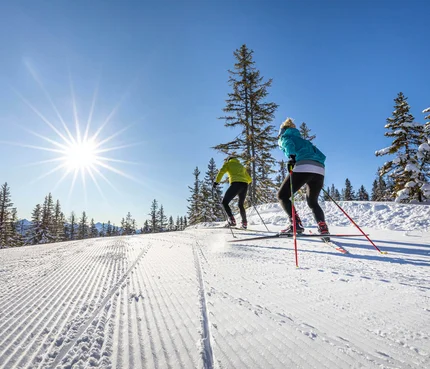 Zwei Skilangläufer im Sonnenschein auf schneebedeckter Strecke mit Bäumen