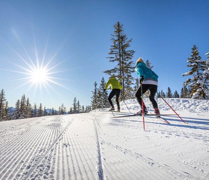Two cross-country skiers in sunlight on a snowy trail with trees
