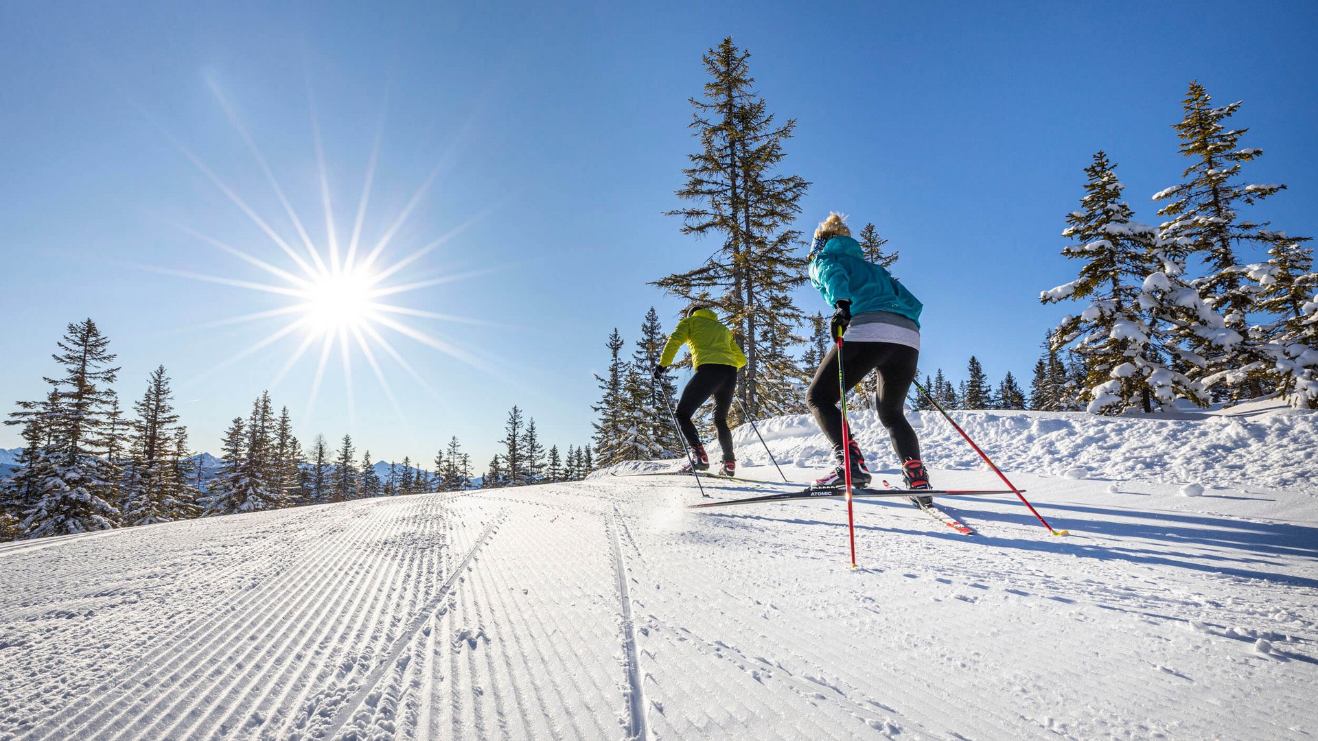Two cross-country skiers in sunlight on a snowy trail with trees
