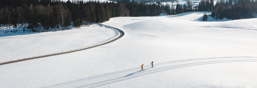 Two cross-country skiers on snowy field with mountains and forest in background