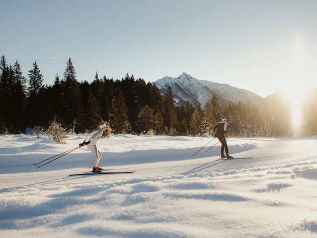Two cross-country skiers in snow with forest and mountains in sunlight
