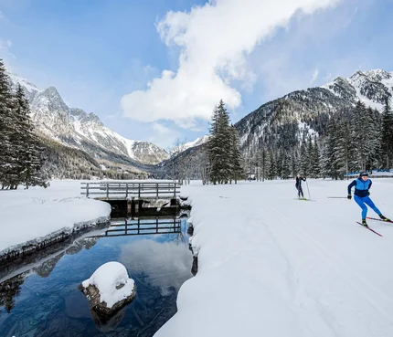 Dolomitenregion Kronplatz © Harald Wisthaler Langläufer unterwegs auf verschneiter Winterlandschaft mit Bergen und Wald