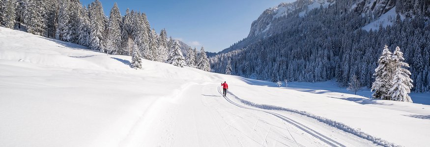 Cross-country skier in red jacket on snow-covered trail in winter landscape