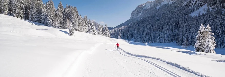Langläufer in roter Jacke auf schneebedeckter Loipe in verschneiter Winterlandschaft