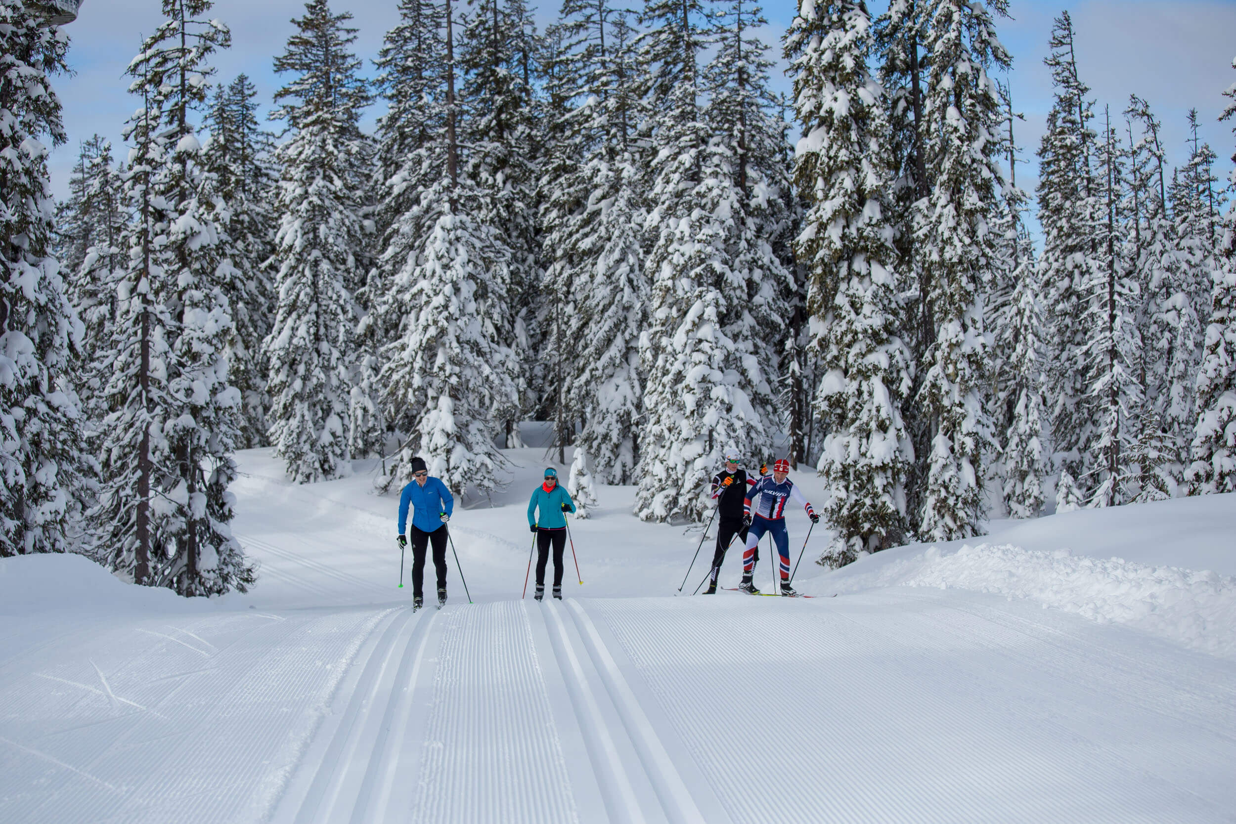Vier Langläufer auf verschneiter Strecke umgeben von schneebedeckten Bäumen