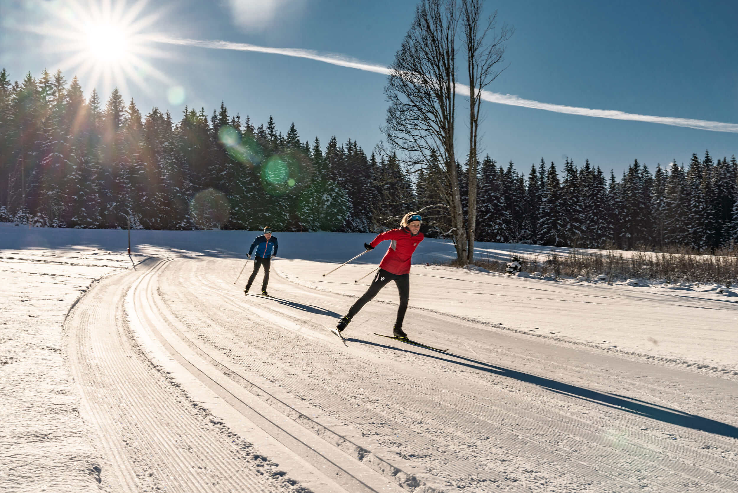 Zwei Personen beim Skilanglauf auf sonniger, verschneiter Strecke