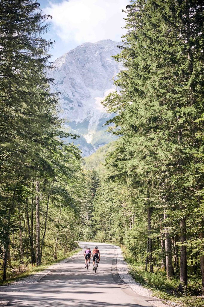 Auf dem Rennrad durch die Slowenischen Wälder © Tobias Köhler
